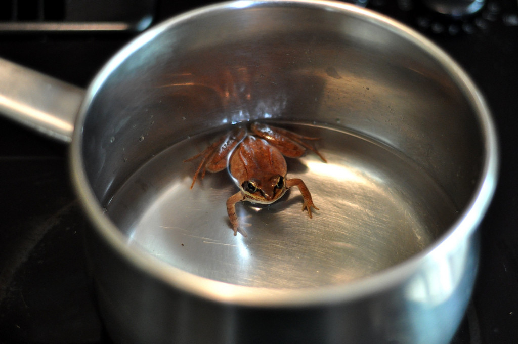 Boiling_Frog