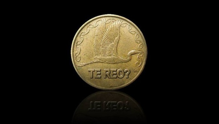 Young Nats: Maori folk should pay for their own coins