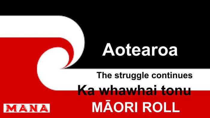 10 Māori Seats in Parliament 2020!